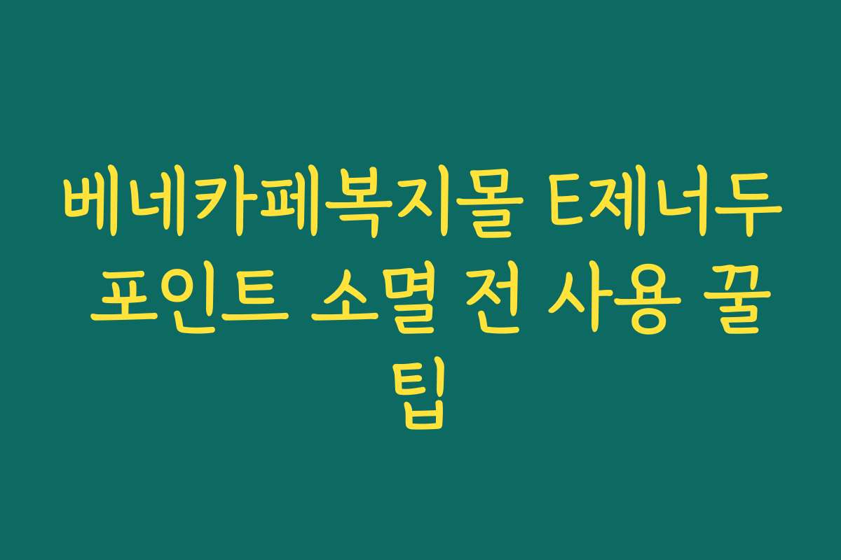 베네카페복지몰 E제너두 포인트 소멸 전 사용 꿀팁