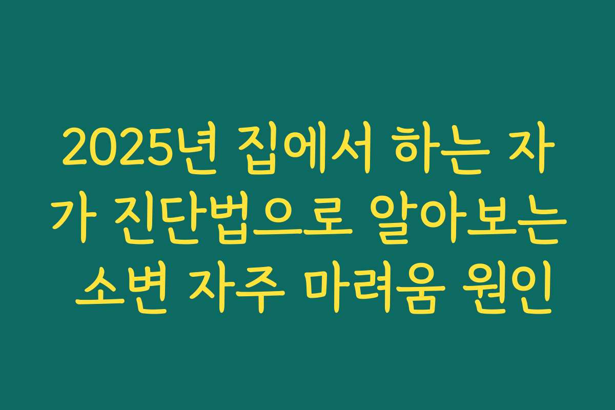 2025년 집에서 하는 자가 진단법으로 알아보는 소변 자주 마려움 원인
