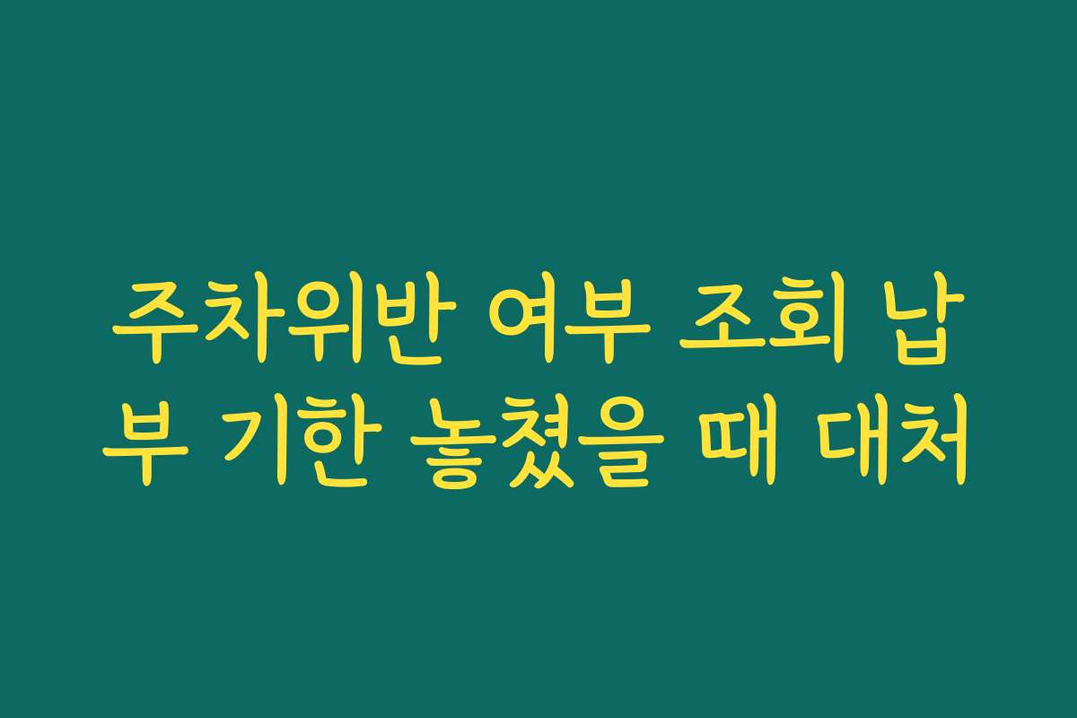 주차위반 여부 조회 납부 기한 놓쳤을 때 대처