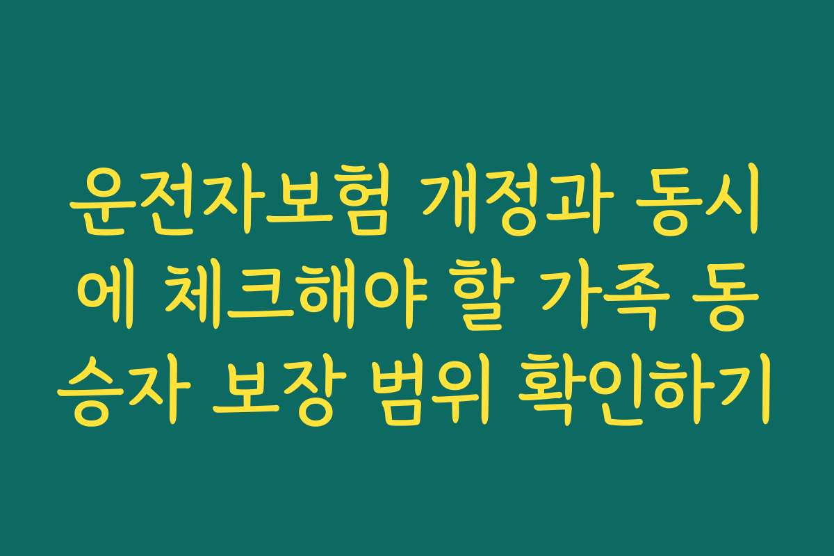 운전자보험 개정과 동시에 체크해야 할 가족 동승자 보장 범위 확인하기