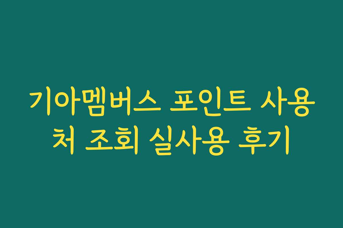 기아멤버스 포인트 사용처 조회 실사용 후기