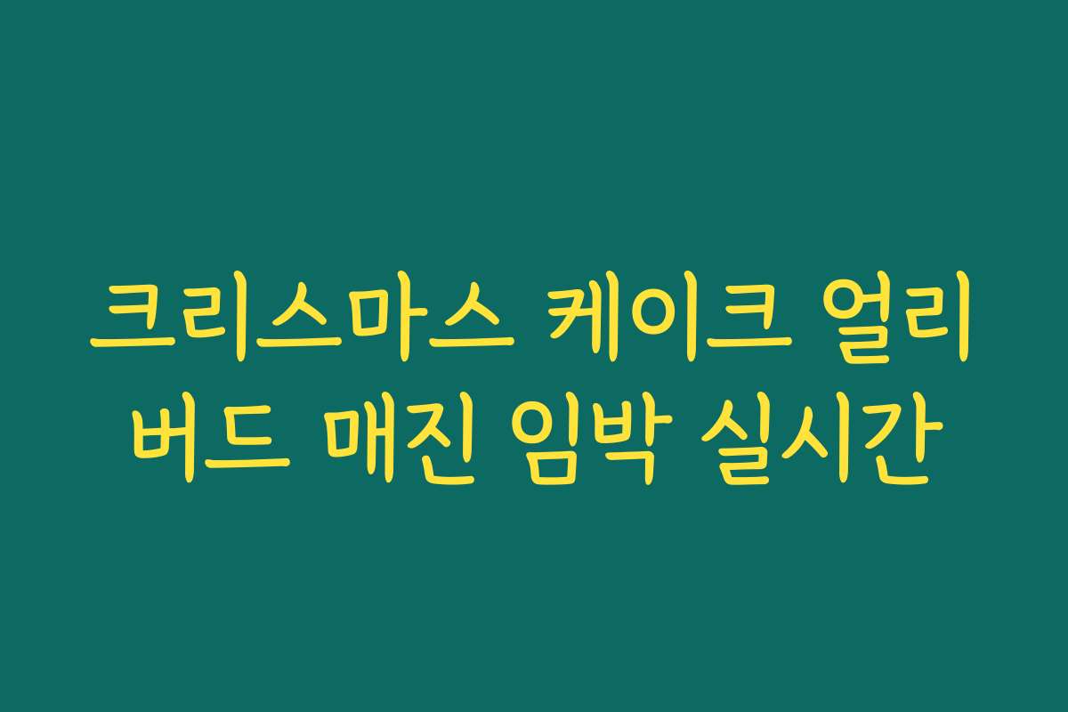 크리스마스 케이크 얼리버드 매진 임박 실시간