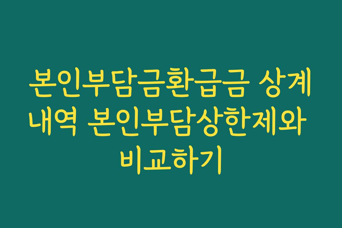 본인부담금환급금 상계내역 본인부담상한제와 비교하기