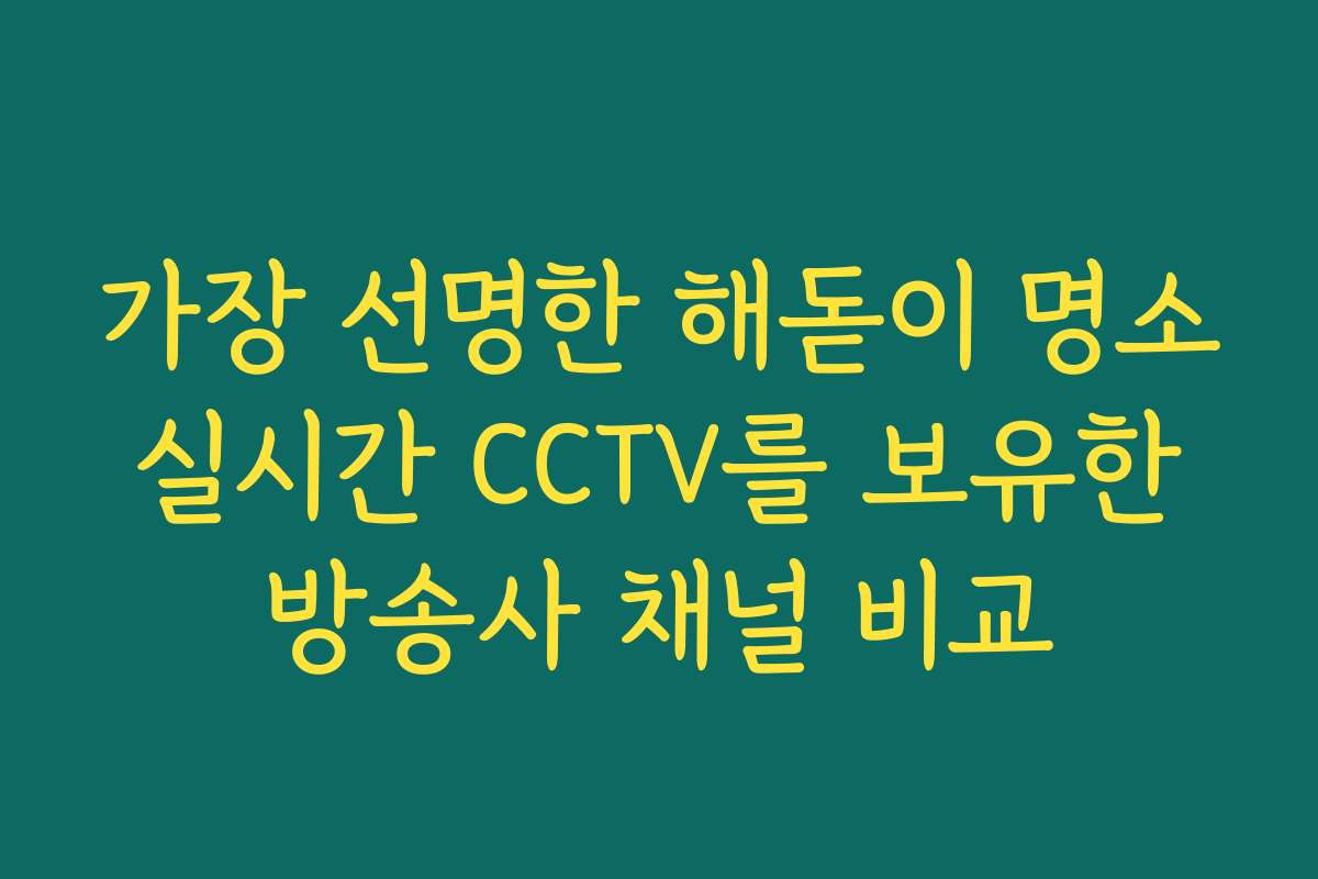 가장 선명한 해돋이 명소 실시간 CCTV를 보유한 방송사 채널 비교