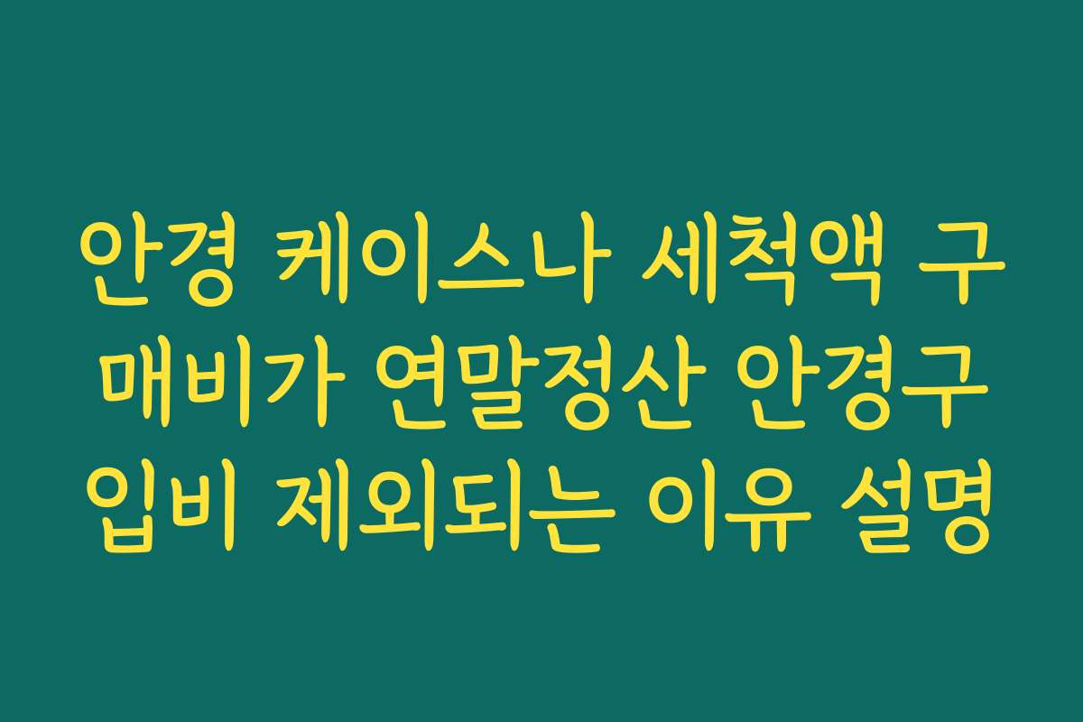 안경 케이스나 세척액 구매비가 연말정산 안경구입비 제외되는 이유 설명
