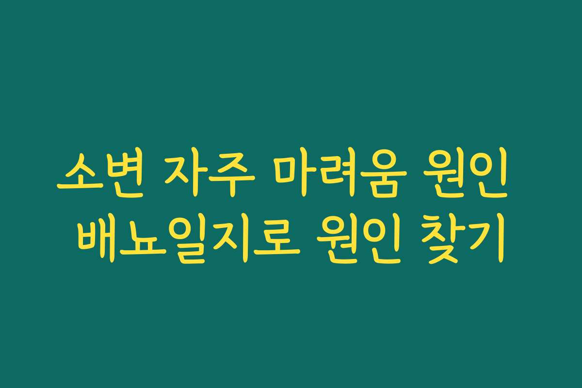 소변 자주 마려움 원인 배뇨일지로 원인 찾기