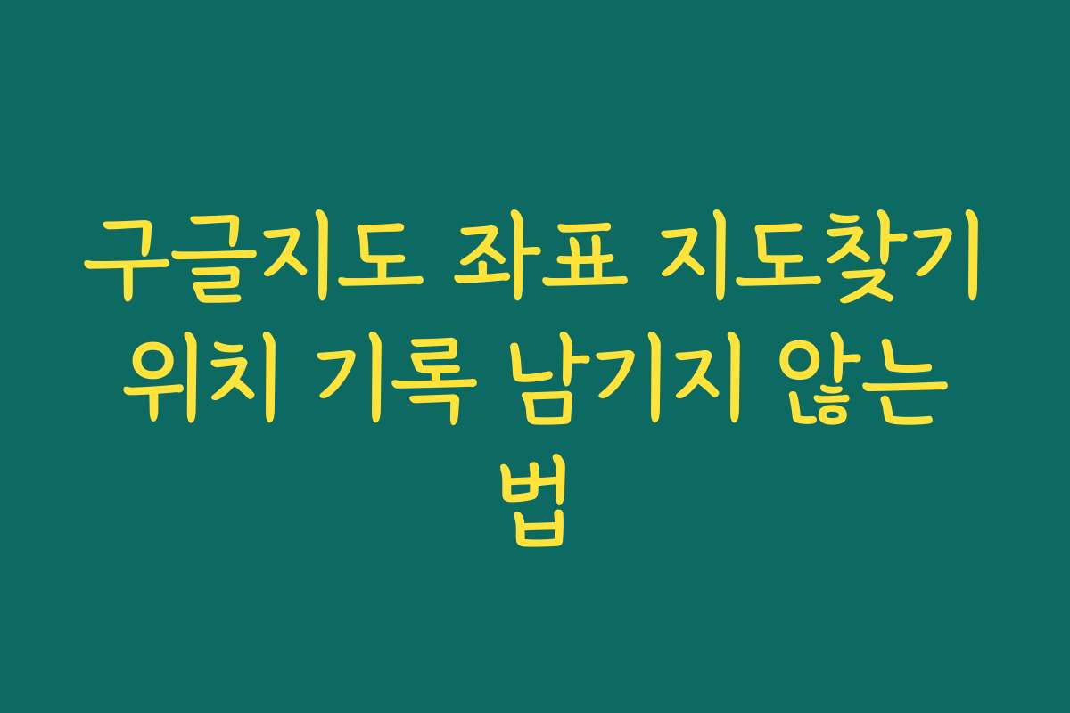 구글지도 좌표 지도찾기 위치 기록 남기지 않는 법