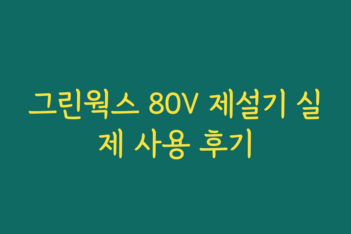 그린웍스 80V 제설기 실제 사용 후기