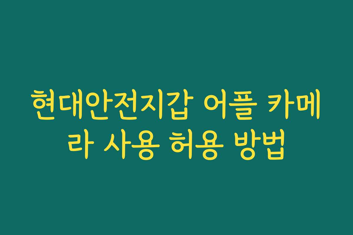 현대안전지갑 어플 카메라 사용 허용 방법