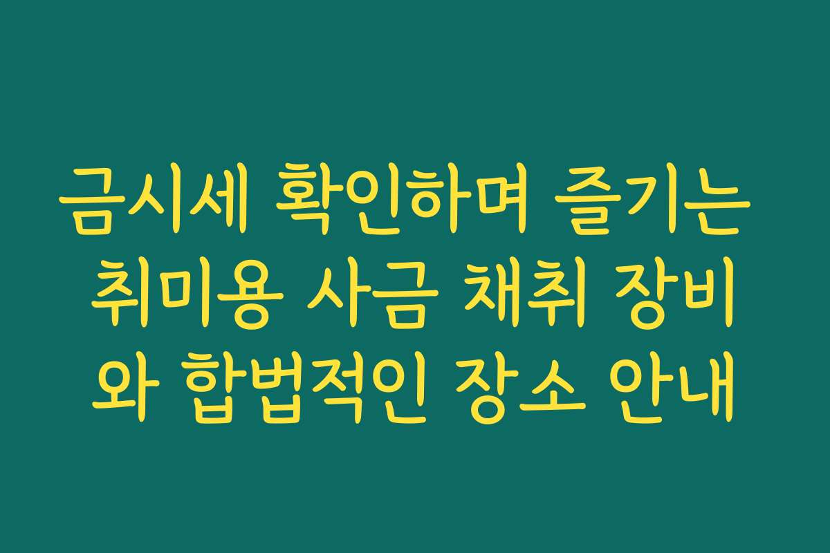금시세 확인하며 즐기는 취미용 사금 채취 장비와 합법적인 장소 안내