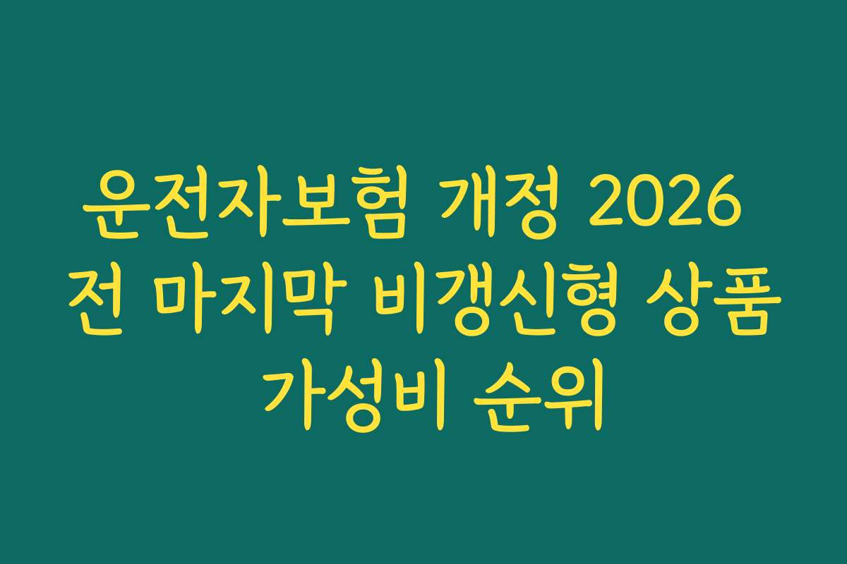 운전자보험 개정 2026 전 마지막 비갱신형 상품 가성비 순위