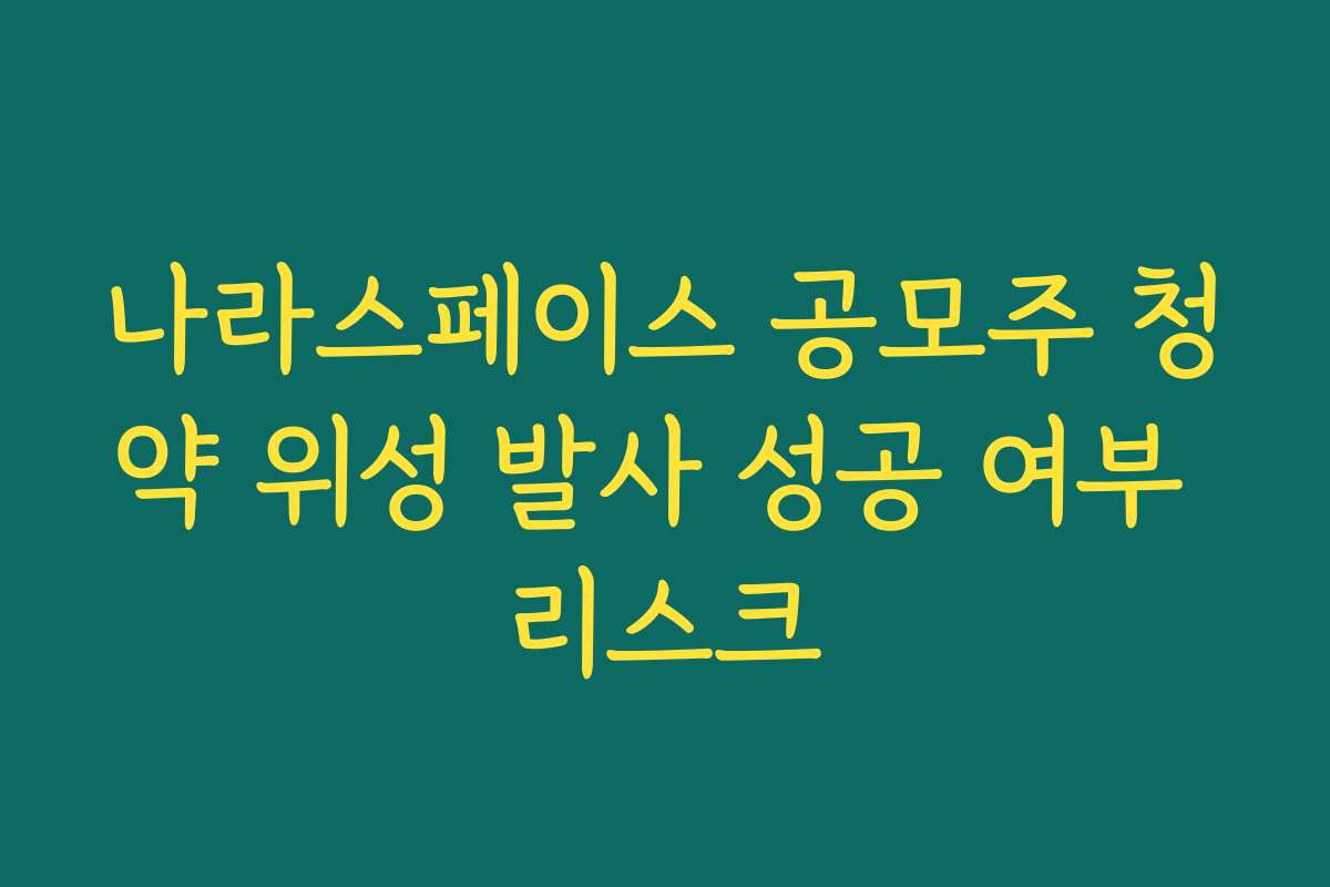 나라스페이스 공모주 청약 위성 발사 성공 여부 리스크