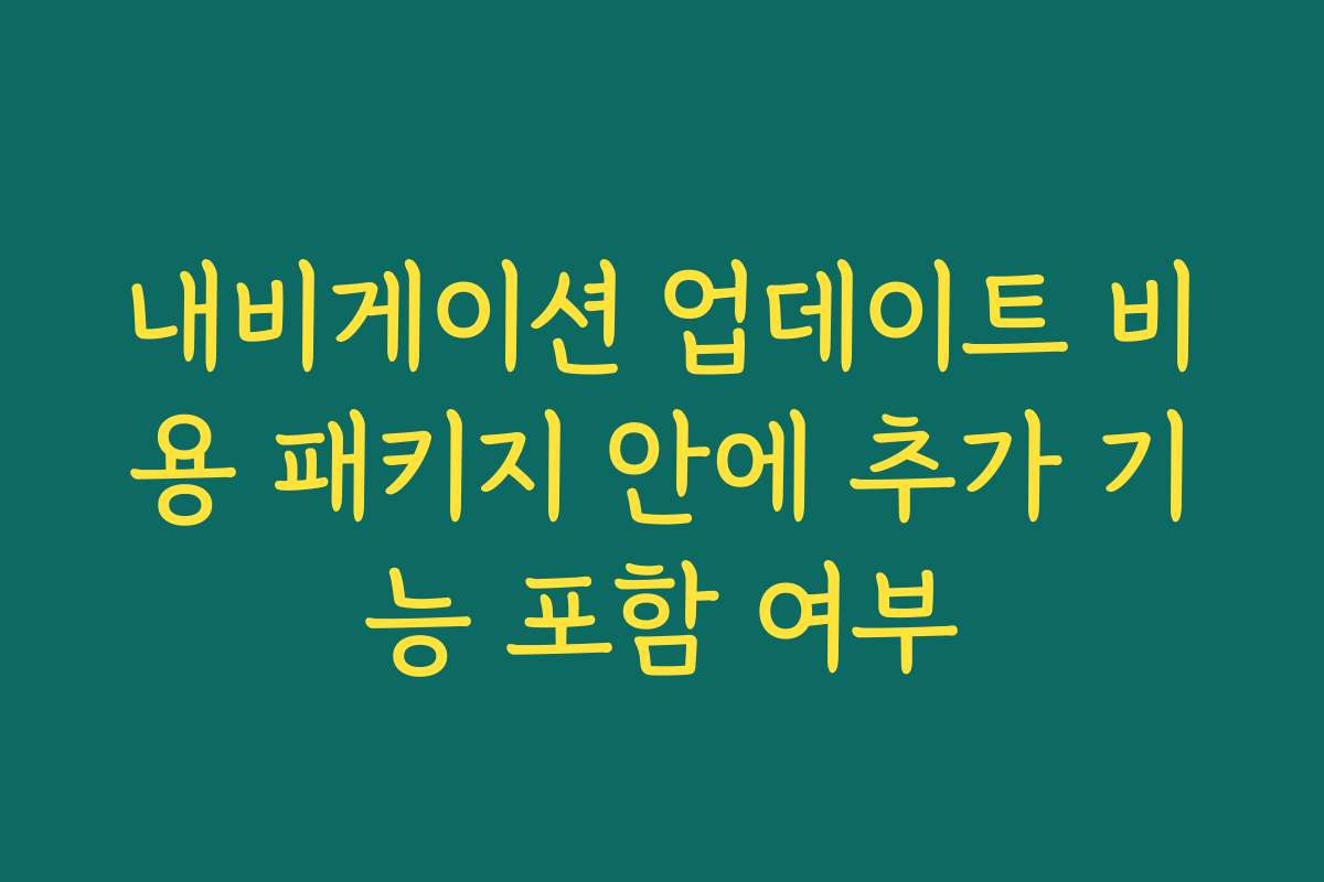 내비게이션 업데이트 비용 패키지 안에 추가 기능 포함 여부