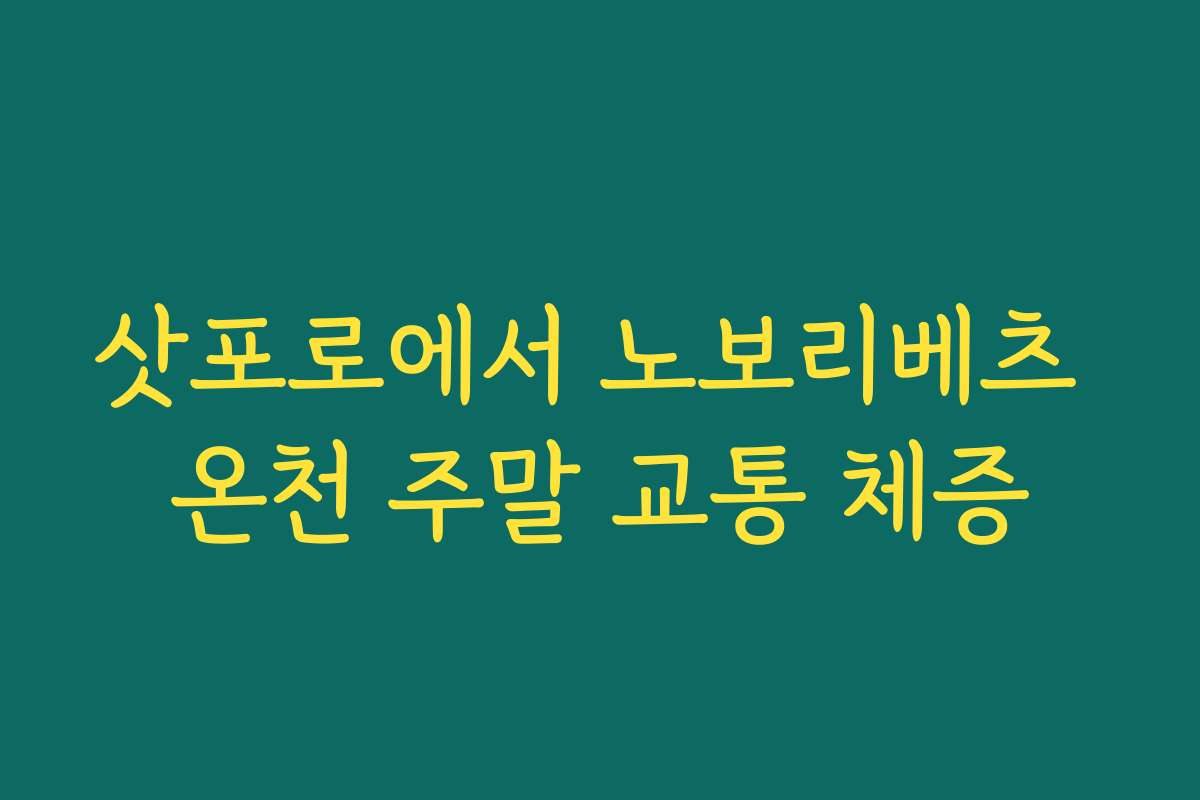 삿포로에서 노보리베츠 온천 주말 교통 체증