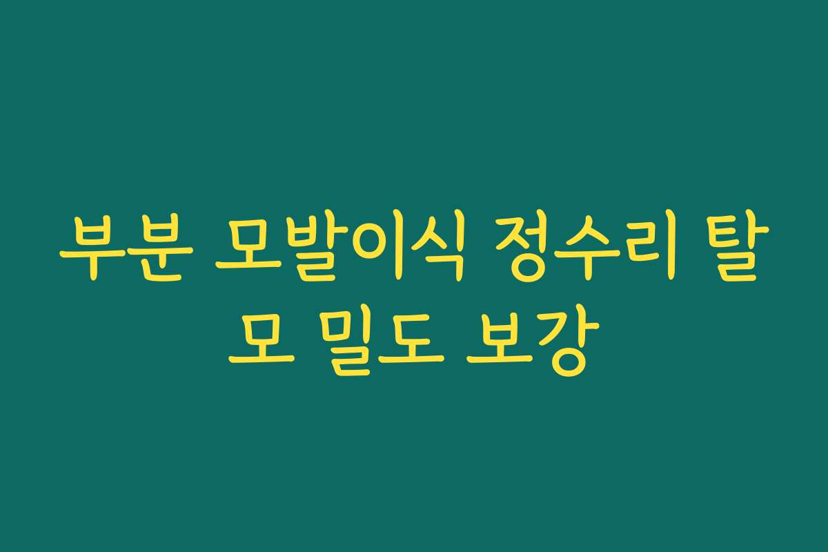 부분 모발이식 정수리 탈모 밀도 보강