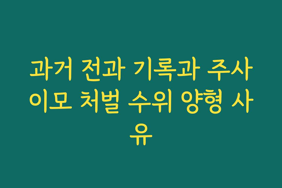 과거 전과 기록과 주사이모 처벌 수위 양형 사유