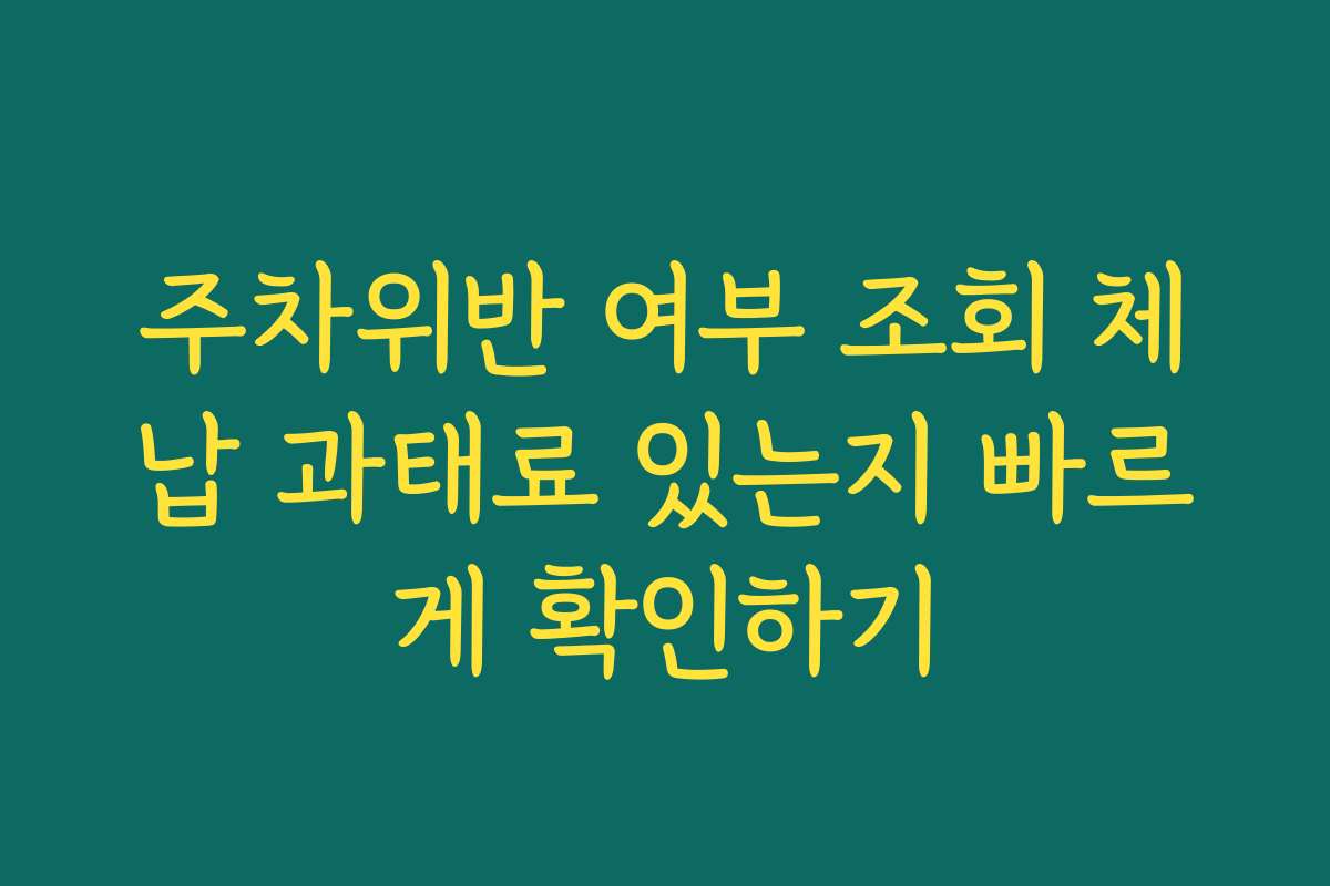 주차위반 여부 조회 체납 과태료 있는지 빠르게 확인하기