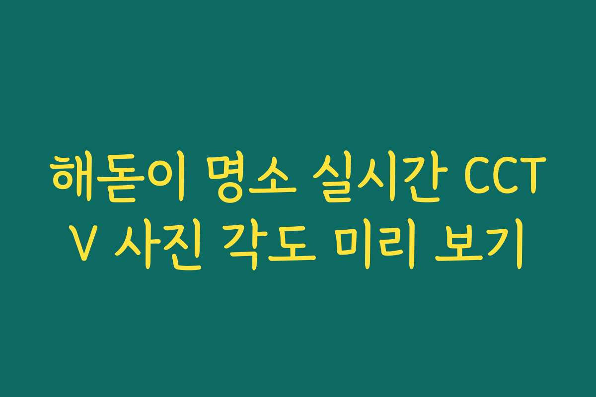 해돋이 명소 실시간 CCTV 사진 각도 미리 보기