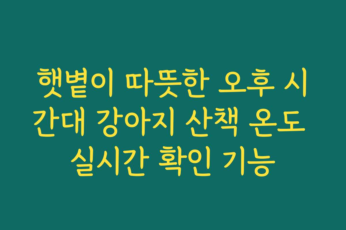 햇볕이 따뜻한 오후 시간대 강아지 산책 온도 실시간 확인 기능