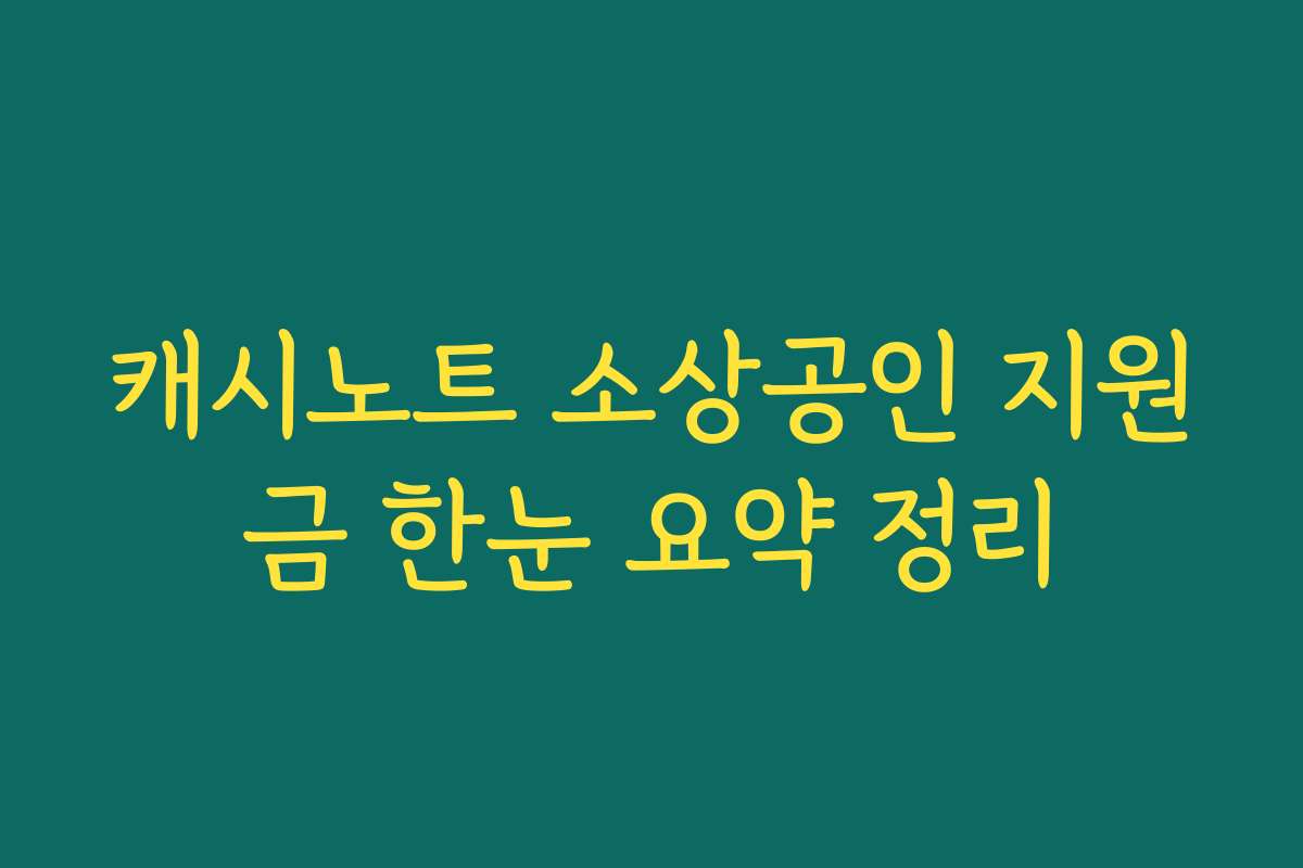 캐시노트 소상공인 지원금 한눈 요약 정리