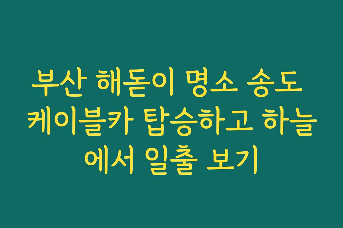 부산 해돋이 명소 송도 케이블카 탑승하고 하늘에서 일출 보기