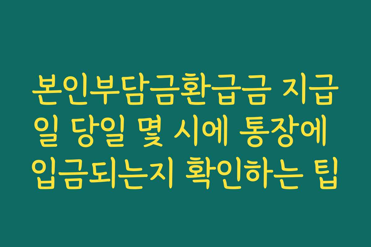 본인부담금환급금 지급일 당일 몇 시에 통장에 입금되는지 확인하는 팁