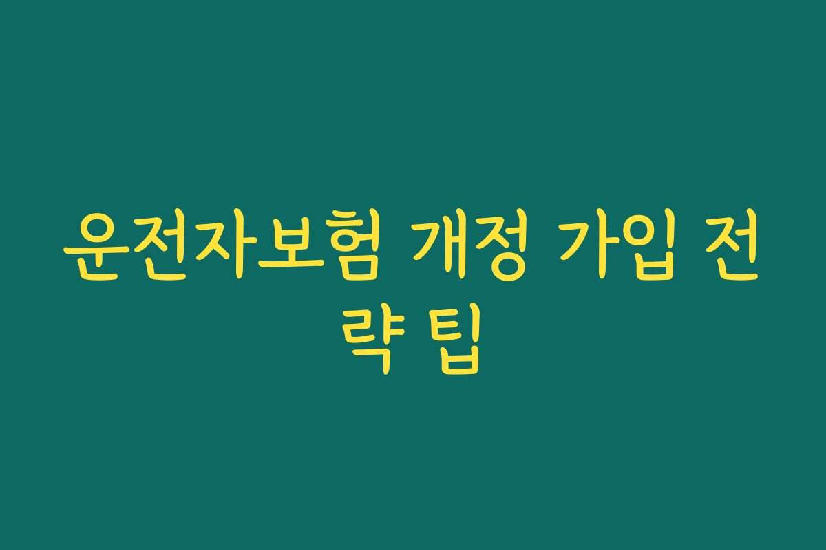운전자보험 개정 가입 전략 팁