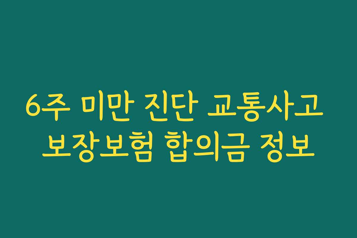 6주 미만 진단 교통사고 보장보험 합의금 정보