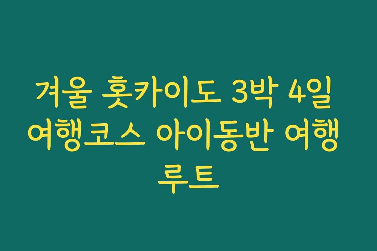 겨울 홋카이도 3박 4일 여행코스 아이동반 여행 루트