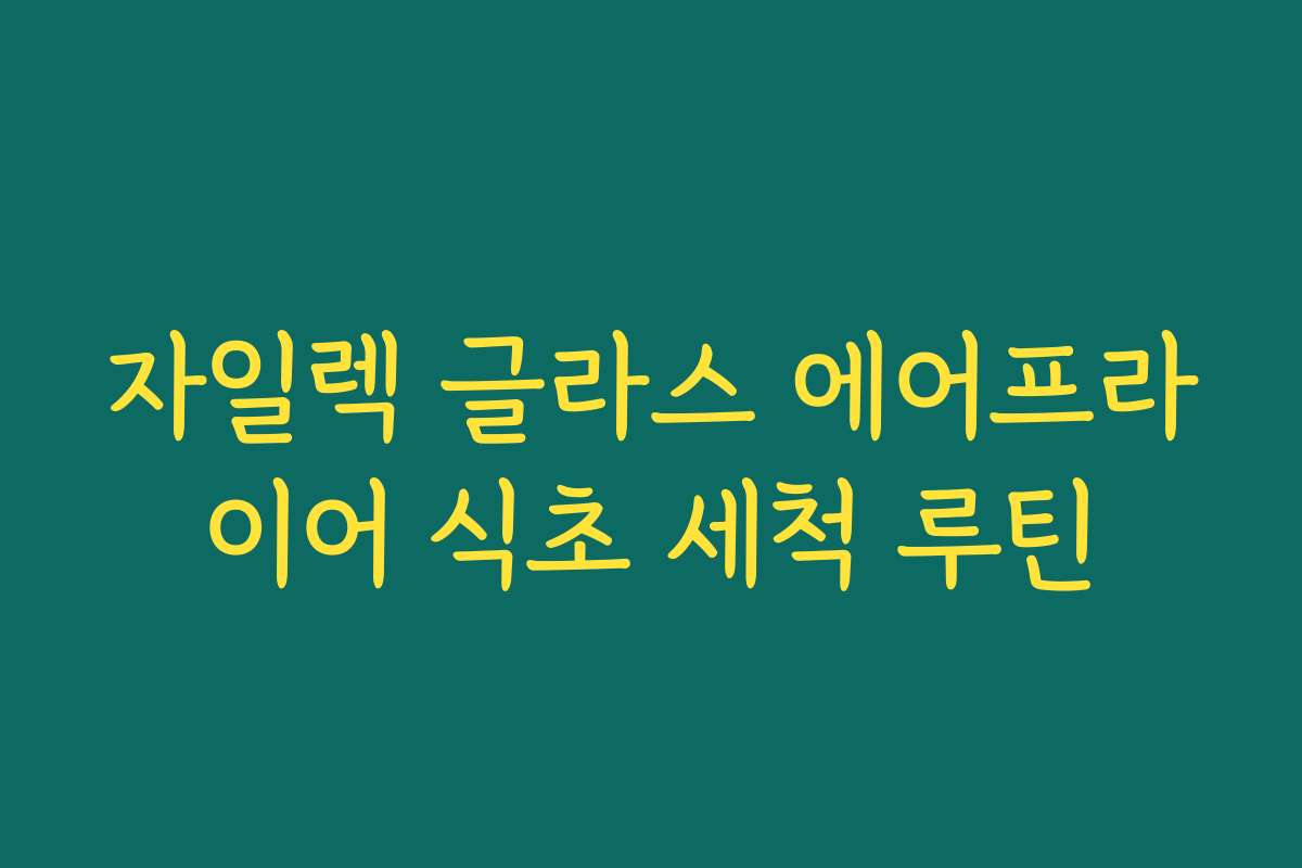 자일렉 글라스 에어프라이어 식초 세척 루틴