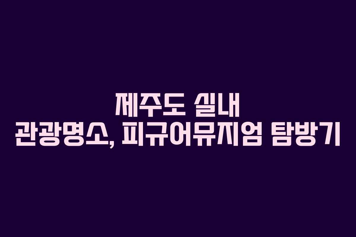 제주도 실내 관광명소, 피규어뮤지엄 탐방기