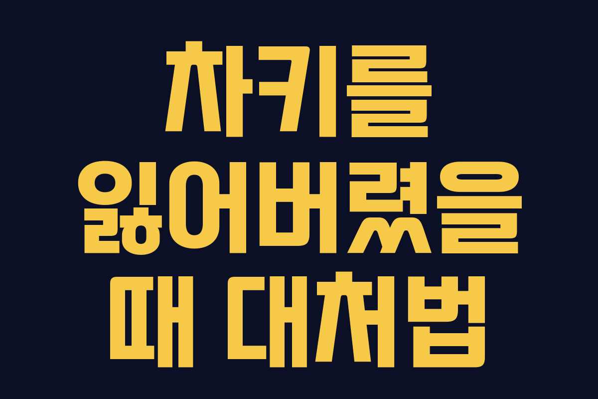 차키를 잃어버렸을 때 대처법