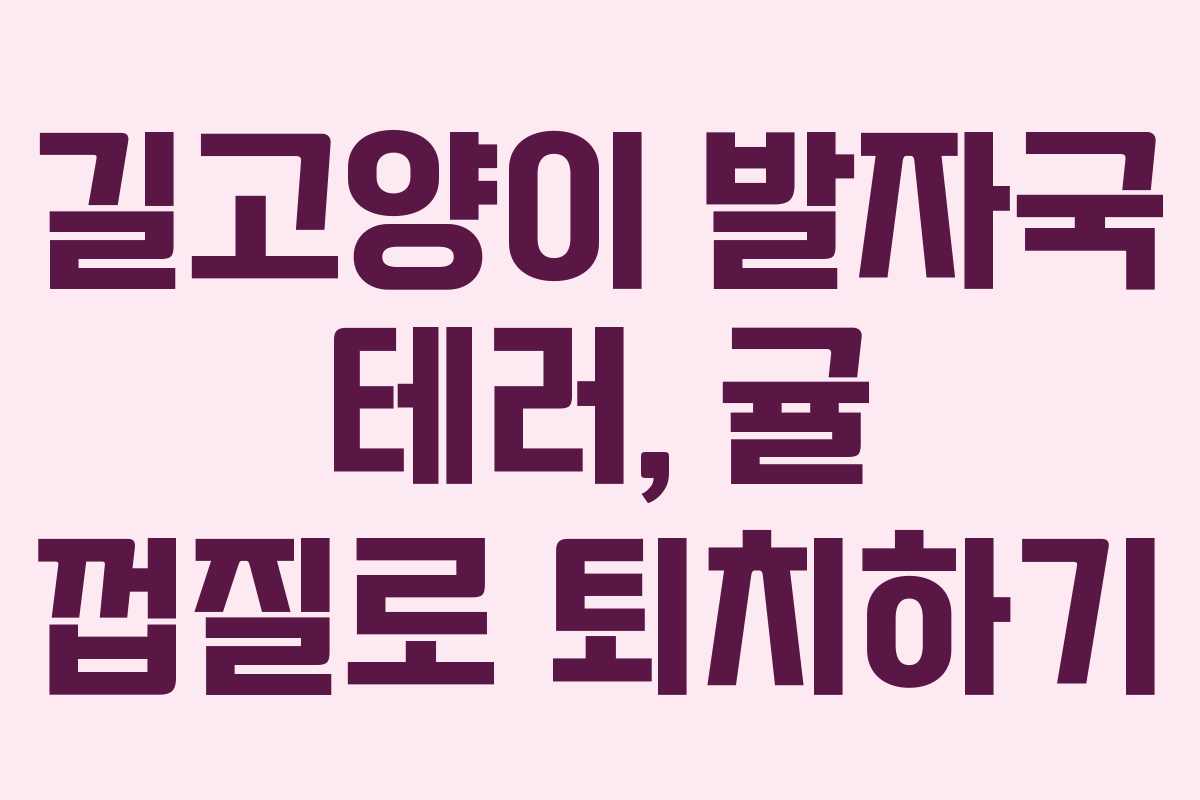 길고양이 발자국 테러, 귤 껍질로 퇴치하기