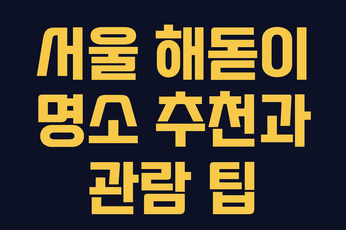 서울 해돋이 명소 추천과 관람 팁