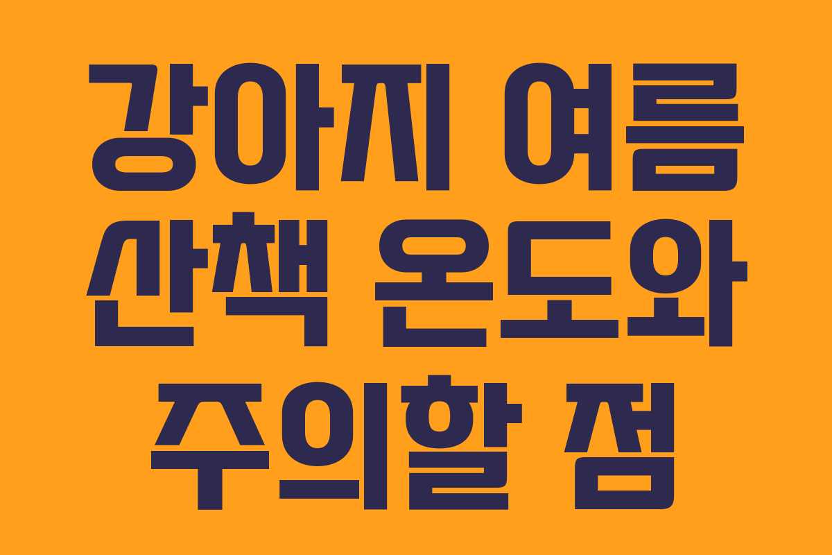 강아지 여름 산책 온도와 주의할 점