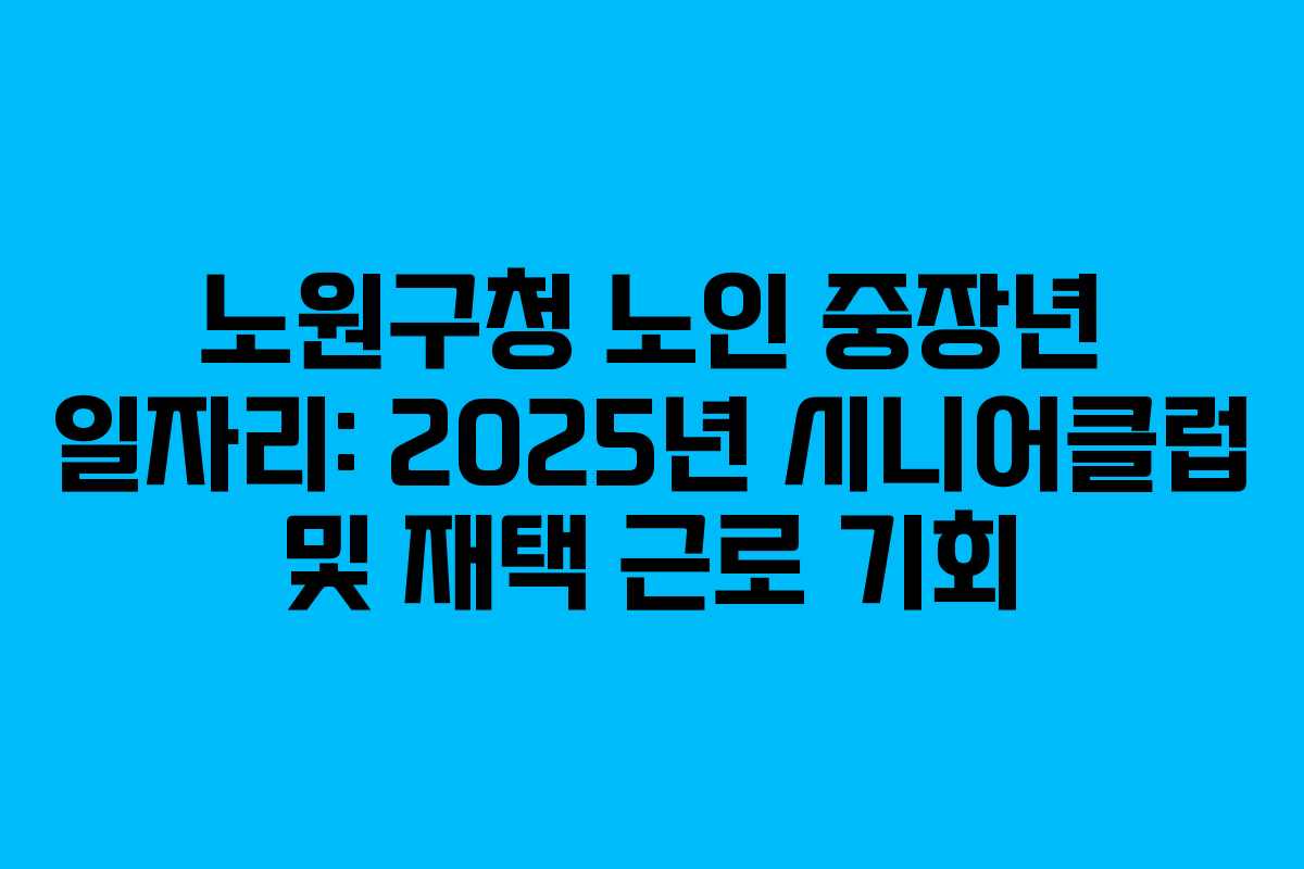 노원구청 노인 중장년 일자리: 2025년 시니어클럽 및 재택 근로 기회