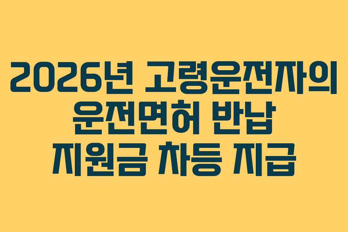 2026년 고령운전자의 운전면허 반납 지원금 차등 지급