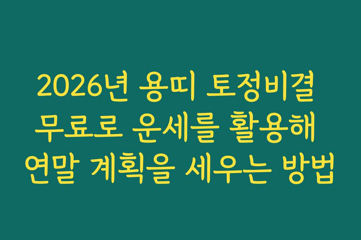 2026년 용띠 토정비결 무료로 운세를 활용해 연말 계획을 세우는 방법
