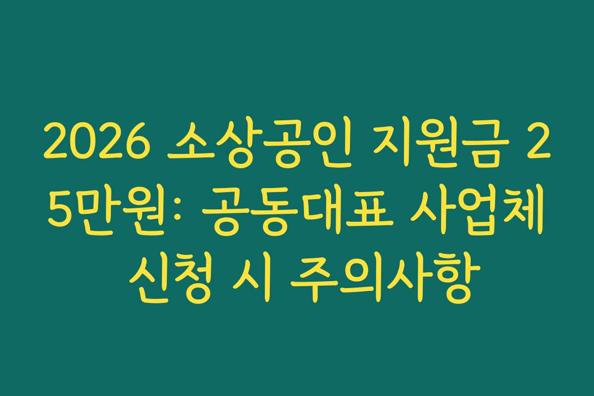 2026 소상공인 지원금 25만원: 공동대표 사업체 신청 시 주의사항