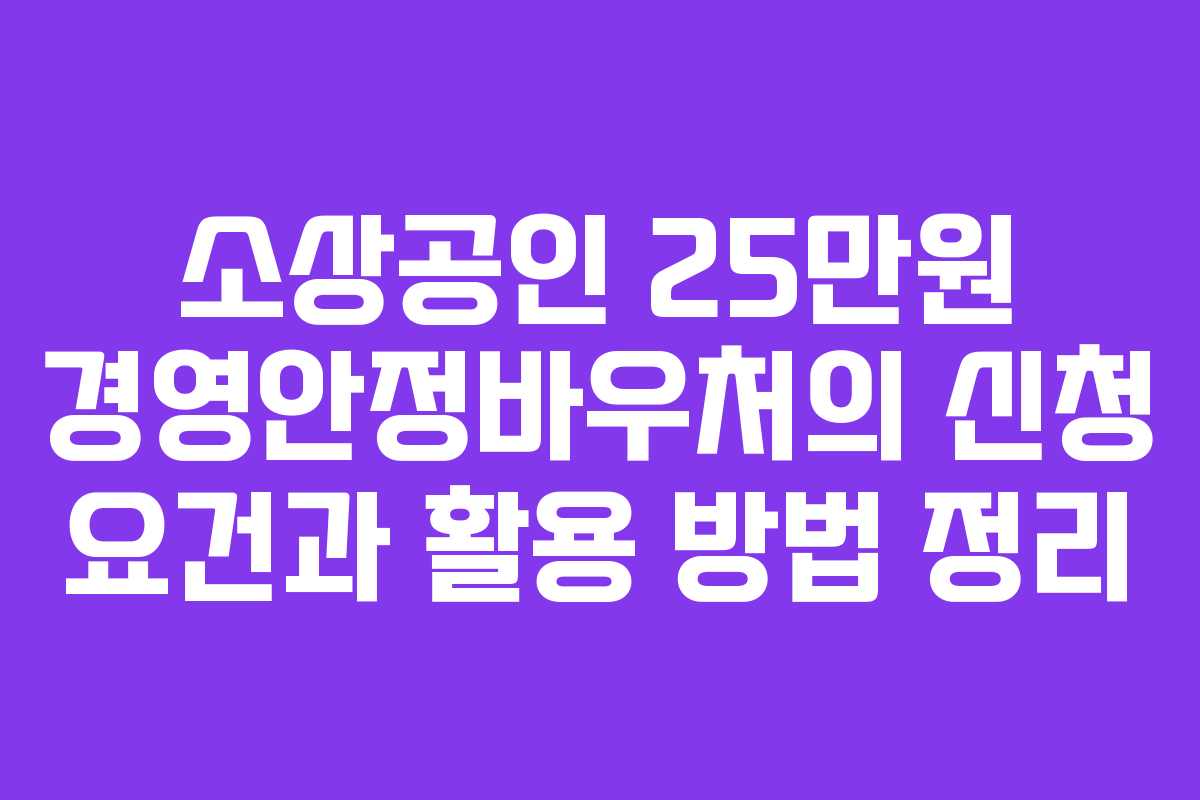 소상공인 25만원 경영안정바우처의 신청 요건과 활용 방법 정리