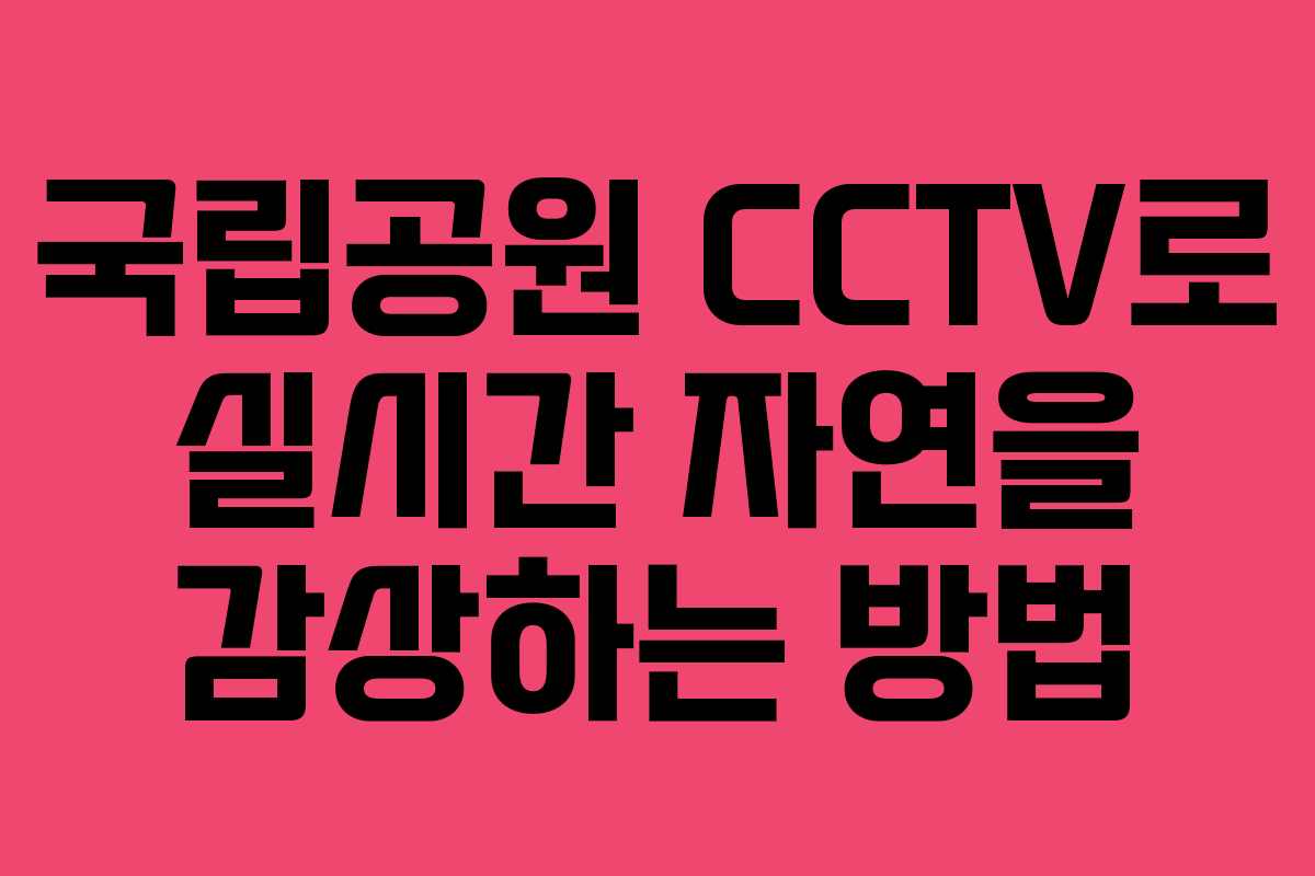 국립공원 CCTV로 실시간 자연을 감상하는 방법
