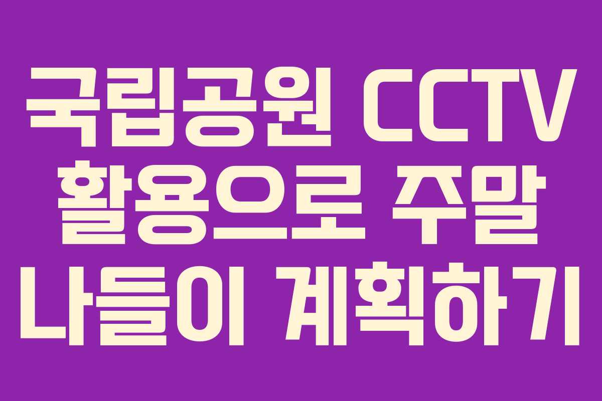 국립공원 CCTV 활용으로 주말 나들이 계획하기
