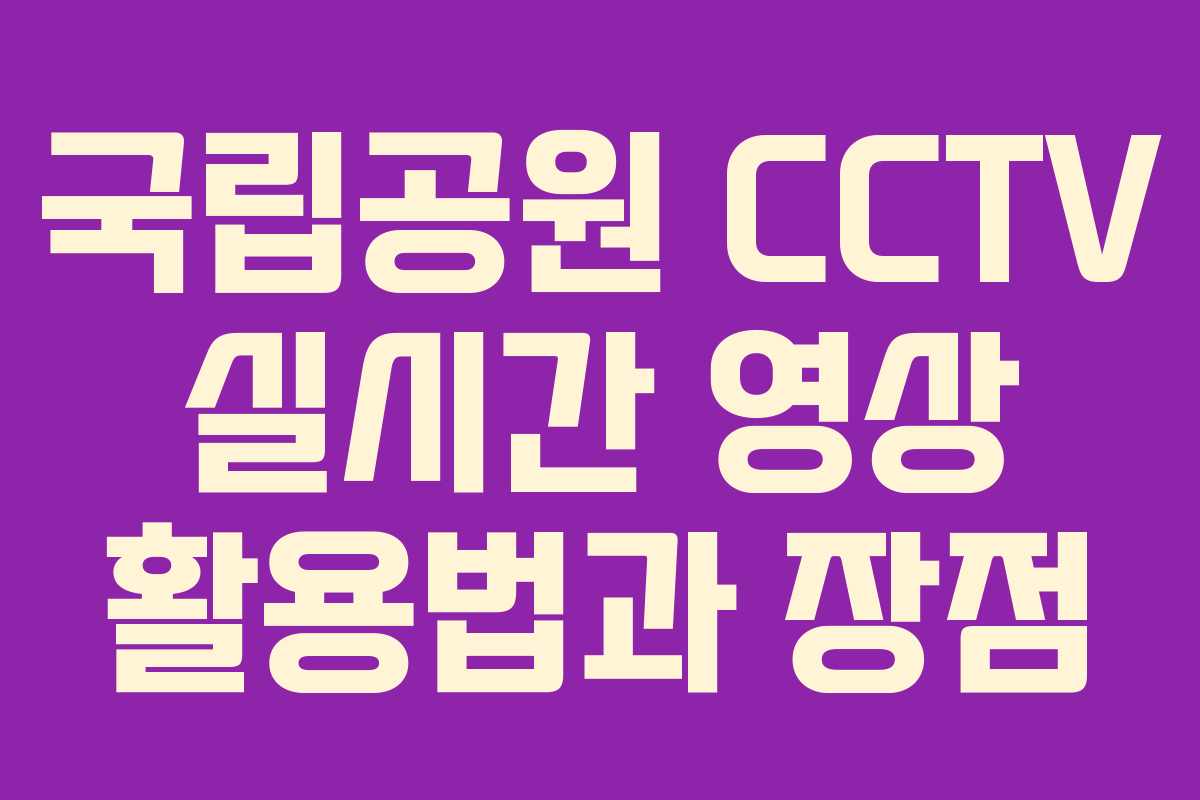 국립공원 CCTV 실시간 영상 활용법과 장점