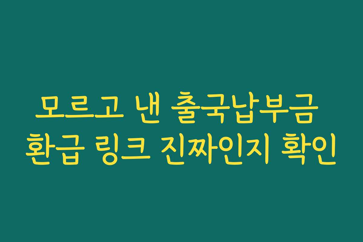 모르고 낸 출국납부금 환급 링크 진짜인지 확인