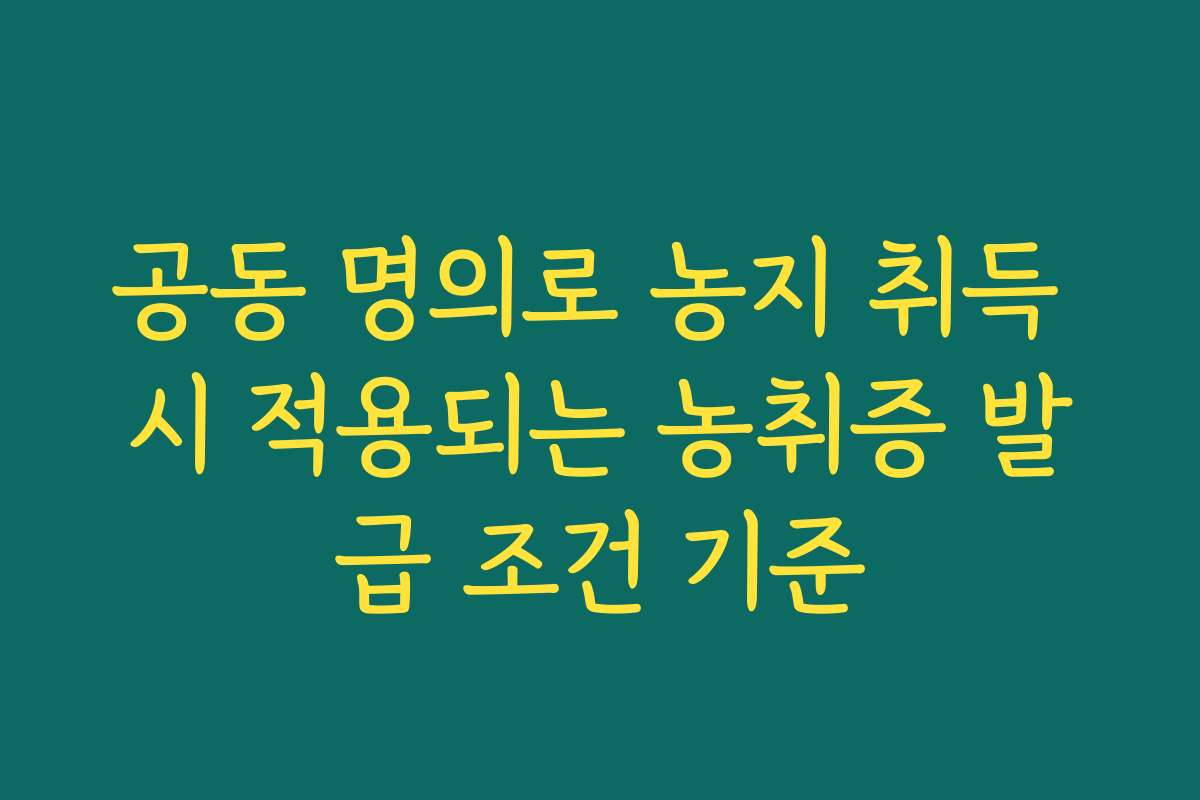 공동 명의로 농지 취득 시 적용되는 농취증 발급 조건 기준