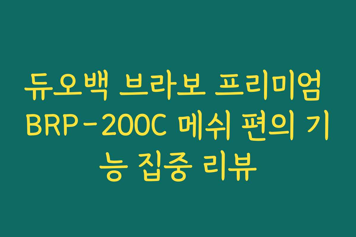 듀오백 브라보 프리미엄 BRP-200C 메쉬 편의 기능 집중 리뷰