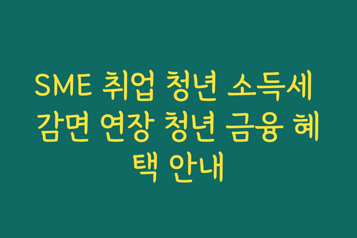 SME 취업 청년 소득세 감면 연장 청년 금융 혜택 안내