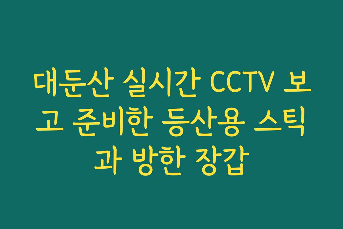 대둔산 실시간 CCTV 보고 준비한 등산용 스틱과 방한 장갑