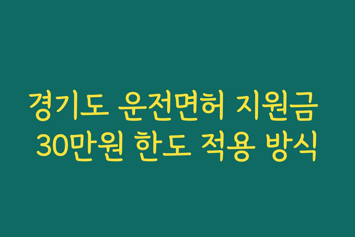 경기도 운전면허 지원금 30만원 한도 적용 방식