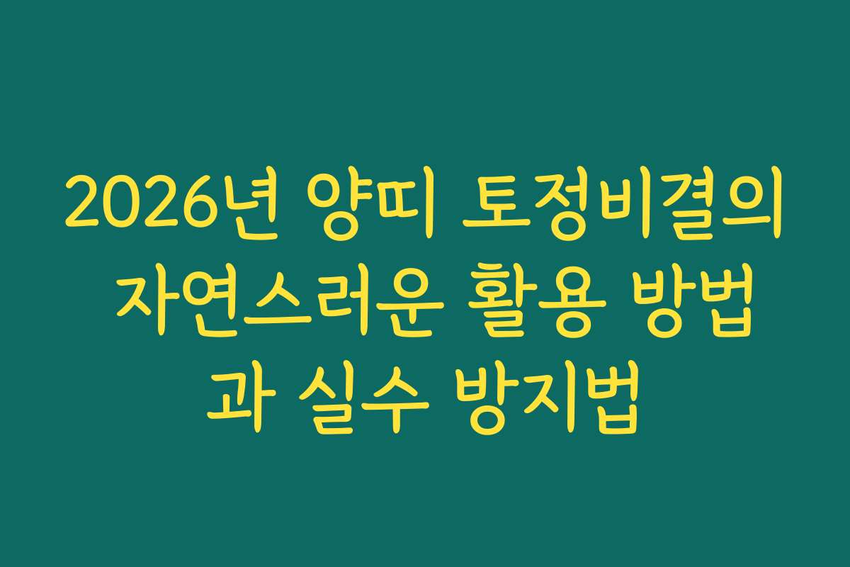 2026년 양띠 토정비결의 자연스러운 활용 방법과 실수 방지법